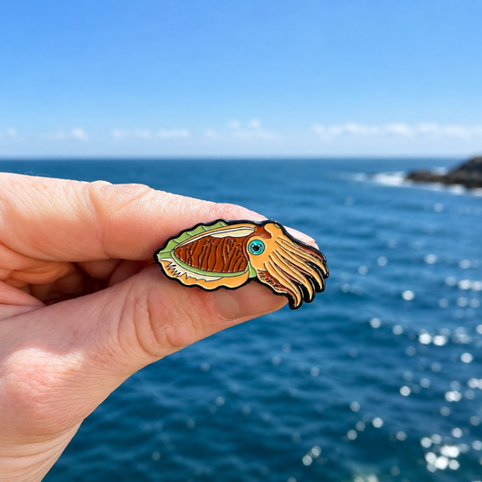 Cuttlefish Pin