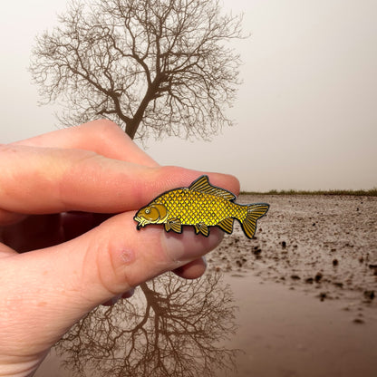 European Carp Pin