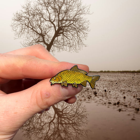 European Carp Pin