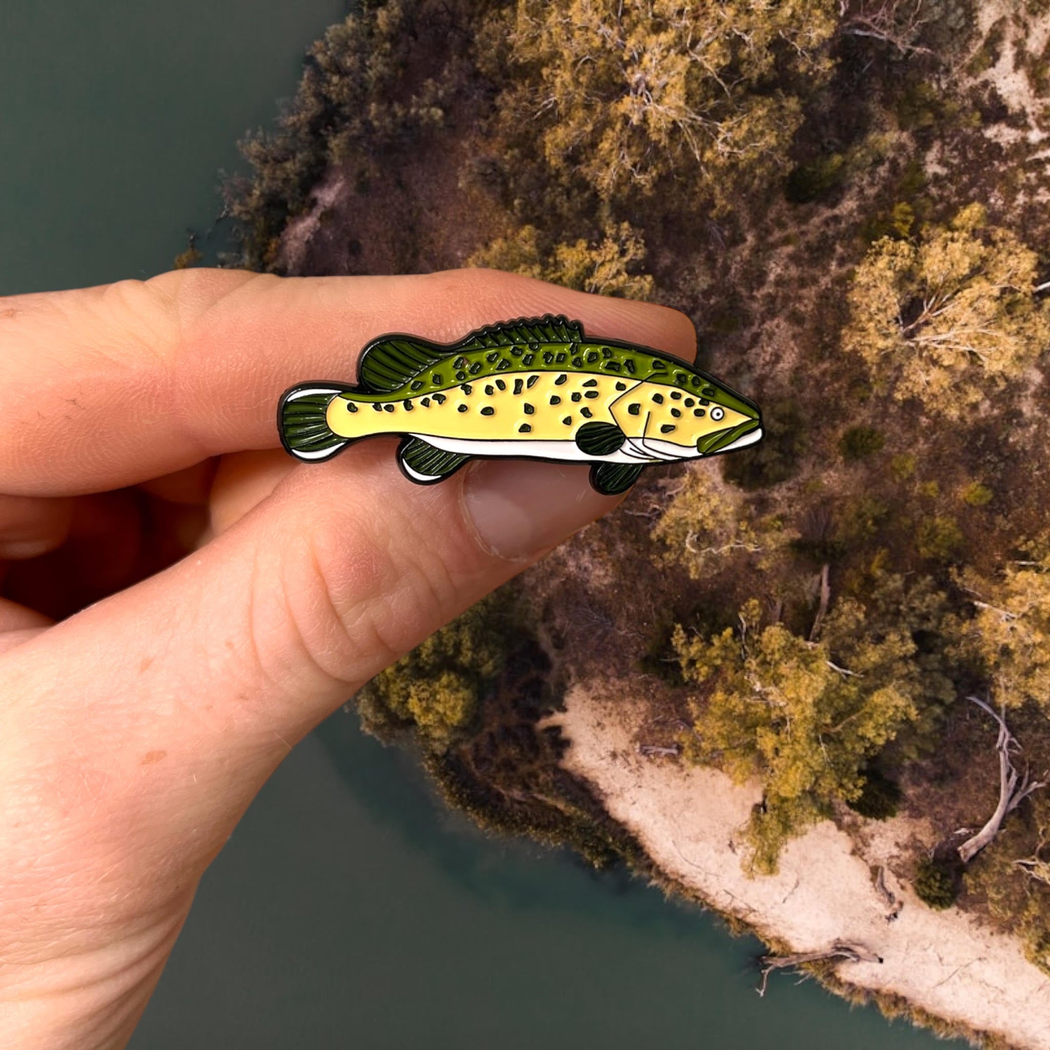 Murray Cod Pin – Doon River